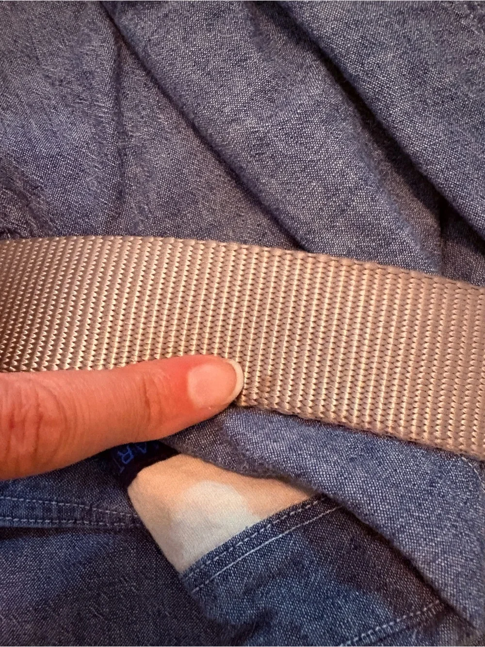 Patagonia Tech Web Belt